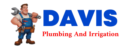 Trusted plumber in MC CUTCHENVILLE